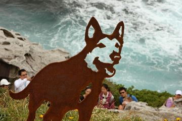 A steel dog resembling a wolf from the sculpture “Every dog has its day” by artist Geoff Harvey stands overlooking Bondi beachnear Sydney, Australia. To illustrate whether Australian universities are crying wolf over their finances.