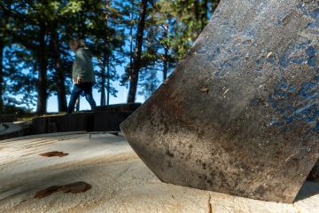 Stockholm, Sweden Sept 14, 2024 A person walks among trees past the blade of a sharp metal ax firmly planted in a tree stump.