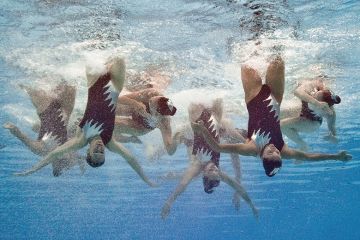 Synchronised swimmers