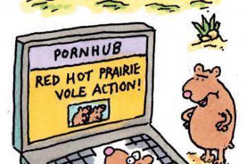 The week in HE illustration (27 April 2017)