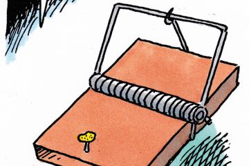 The week in higher education cartoon (28 January 2015)