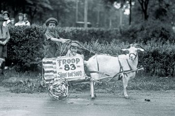 Goat pulls young boys’ cart in the Tacoma festival Goat pulls young boys’ cart in the Tacoma festival