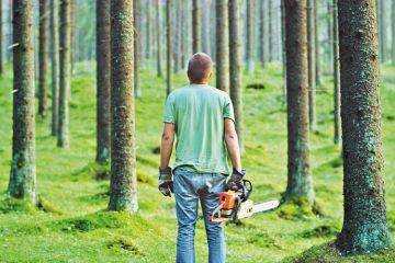 Man holding a chainsaw in a forest Man holding a chainsaw in a forest