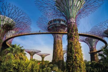 Gardens by the Bay, Singapore