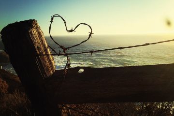 Barbed wire heart
