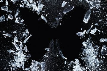 ice butterfly ice butterfly