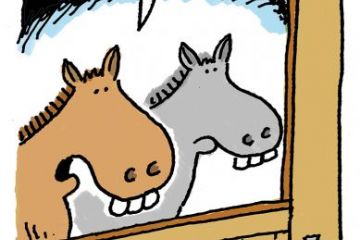 Cartoon 6 June 2024 Cartoon 6 June 2024