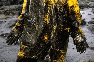 Oil slick caused by the "Prestige" ship. Galicia. Volunteer cleaning the beach Oil slick caused by the "Prestige" ship. Galicia. Volunteer cleaning the beach