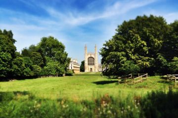 University of Cambridge campus surrounded by grass and trees University of Cambridge campus surrounded by grass and trees