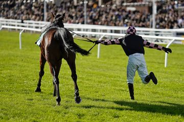 Harry Skelton dances up the track with Walk in Clover after being unseated at Cheltenham, England on 27 October 2023. As an illustration of who controls areas of research as UKRI handed more cash for betting-related research.
