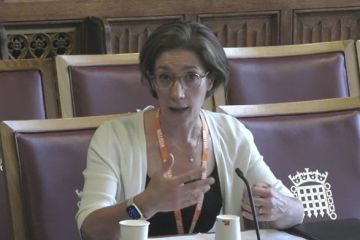 Vivienne Stern at House of Lords Vivienne Stern at House of Lords