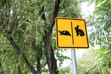 Warning sign cross the road rabbit and turtle Warning sign cross the road rabbit and turtle