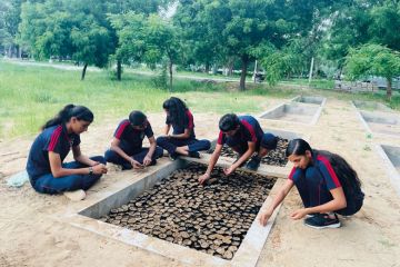 naturepositive_supplied image