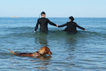 sea couple in the sea wearing business suits bowler hats holding hands dog swimming sea couple in the sea wearing business suits bowler hats holding hands dog swimming