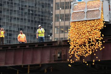 Rubber ducks are dropped into the Chicago River Rubber ducks are dropped into the Chicago River to illustrate Mounting debt poses threat to mission, Chicago warned