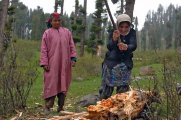 Kashmiri women chop wood with an axe in Doodhpathri Valley, India Kashmiri women chop wood with an axe in Doodhpathri Valley, India to illustrate India makes cuts to higher education budget as focus turns to skills