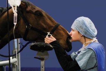 Intern Emma Saric kisses a horse to illustrate Trade-offs are needed to expand apprenticeships