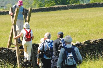 Group of elderly people on walking holiday negotiating a ladder access over a wall between fields, English Lake District Group of elderly people on walking holiday negotiating a ladder access over a wall between fields, English Lake District