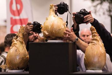 Press photographers take pictures of the podium of the winning onions Thumbs up and down