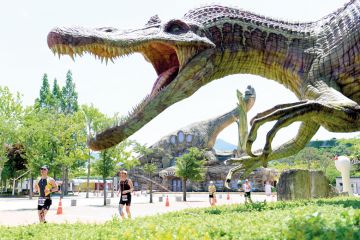 Competitors running the marathon with a giant dinosaur above them in Dinosaur Expo Park in Goseong-gun, South Korea Competitors running the marathon with a giant Dinosaur in Dinosaur Expo Park in Goseong-gun, South Korea to illustrate Korean PhD overwork culture ‘getting worse’ as research cuts bite