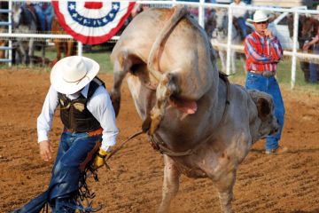 A bullrider about to get kicked to illustrate US reliance on lottery funding raises university concerns