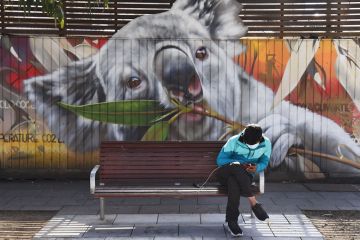 A man looks at his phone as he sits in front of a mural of a koala in Melbourne A man looks at his phone as he sits in front of a mural of a koala in Melbourne to illustrate Economic changes ‘slowing Australian students down’