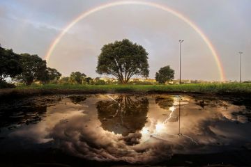 Montage: a rainbow is reflected in a puddle of water, in mono, in Auckland with lightning in the reflection Montage: a rainbow is reflected in a puddle of water, in mono, in Auckland with lightning in the reflection to illustrate Without negative reviews, positive ones lose meaning