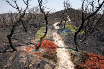 Concept of bank notes over over dried out  earth in the Blue Mountains, New South Wales, Australia to illustrate How should Australia address students’ cost-of-living crisis?