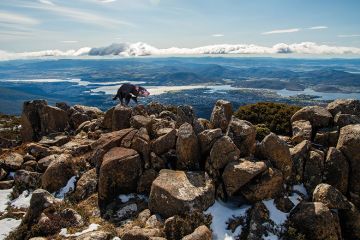 Montage of a Tasmanian devil on the landscape of Mount Wellington in winter season of Hobart, Tasmania state of Australia Montage of a Tasmanian devil on the landscape of Mount Wellington in winter season of Hobart, Tasmania state of Australia to illustrate HE in Tasmania: devilishly difficult to get right