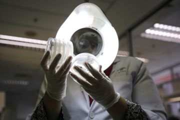 lab glove hands test holding petra dishes_getty.jpg lab glove hands test holding petra dishes_getty.jpg