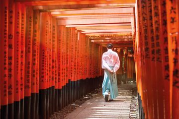 Monk walking in Fushimi inari shrine path of torii, Kyoto, Japan. Monk walking in Fushimi inari shrine path of torii, Kyoto, Japan to illustrate Japan expected to lose 140,000 students by mid-century