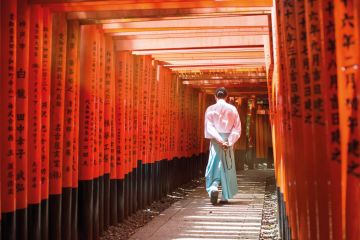 Monk walking in Fushimi inari shrine path of torii, Kyoto, Japan to illustrate Japan expected to lose 140,000 students by mid-century