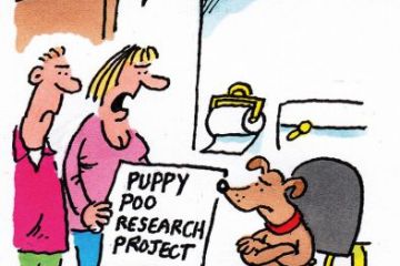 Week in HE illustration (23 November 2017)