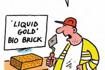 week-in-higher-education-1-november