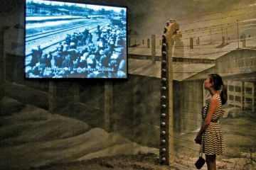 Woman viewing holocaust documentary on large-screen television