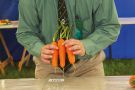 Man grading/judging carrots, Muker Agricultural Show, England