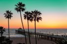 Palm trees on California beach
