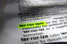 terrorism, radicalisation, 
