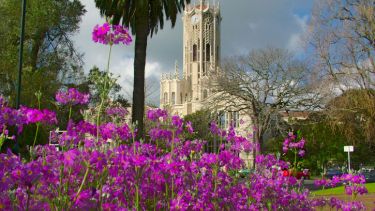 Tower at the University of Auckland Tower at the University of Auckland