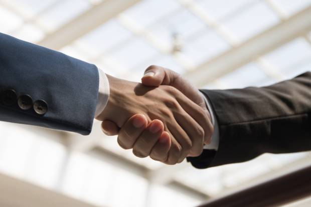 dutch universities elsevier