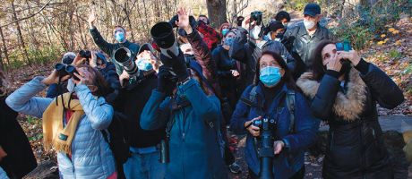 Birdwatchers illustrating community-led research
