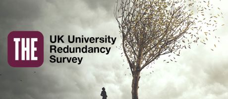 Person looking at tree with leaves blowing away and the THE UK University Redundancy Survey logo.