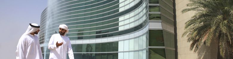 United Arab Emirates University World University