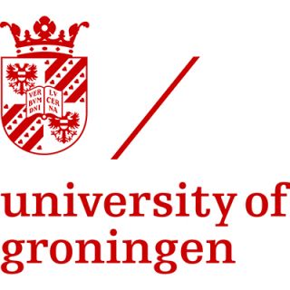 university of groningen logo - College Of Pune