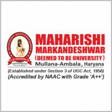 Maharishi Markandeshwar University (MMU) | World University Rankings | THE