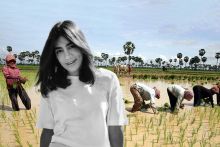 Montage of Maryam Aslany with Cambodian women farmers growing rice in their fields in Kampong Cham province Montage of Maryam Aslany with Cambodian women farmers growing rice in their fields in Kampong Cham province