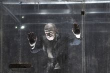 Jonathan Slinger as Prospero in William Shakespeare's The Tempest directed by David Farr at the Royal Shakespeare Theatre in Stratford-upon-Avon. Jonathan Slinger as Prospero in William Shakespeare's The Tempest directed by David Farr at the Royal Shakespeare Theatre in Stratford-upon-Avon.
