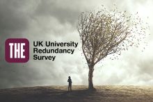 Person looking at tree with leaves blowing away and the THE UK University Redundancy Survey logo.