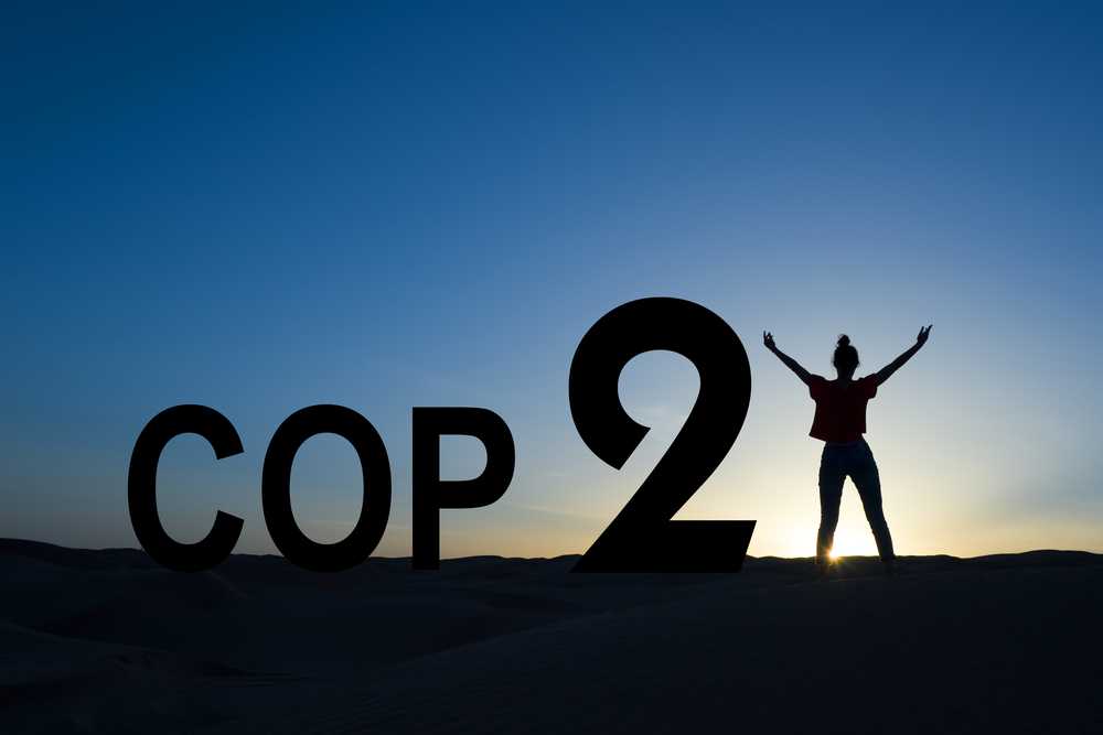 Надії на COP21