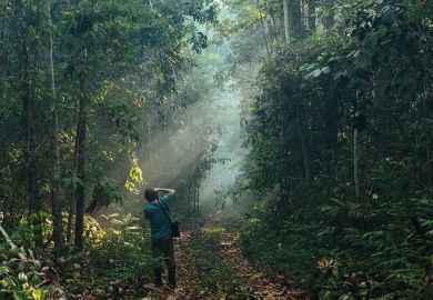 forest-photographer forest-photographer